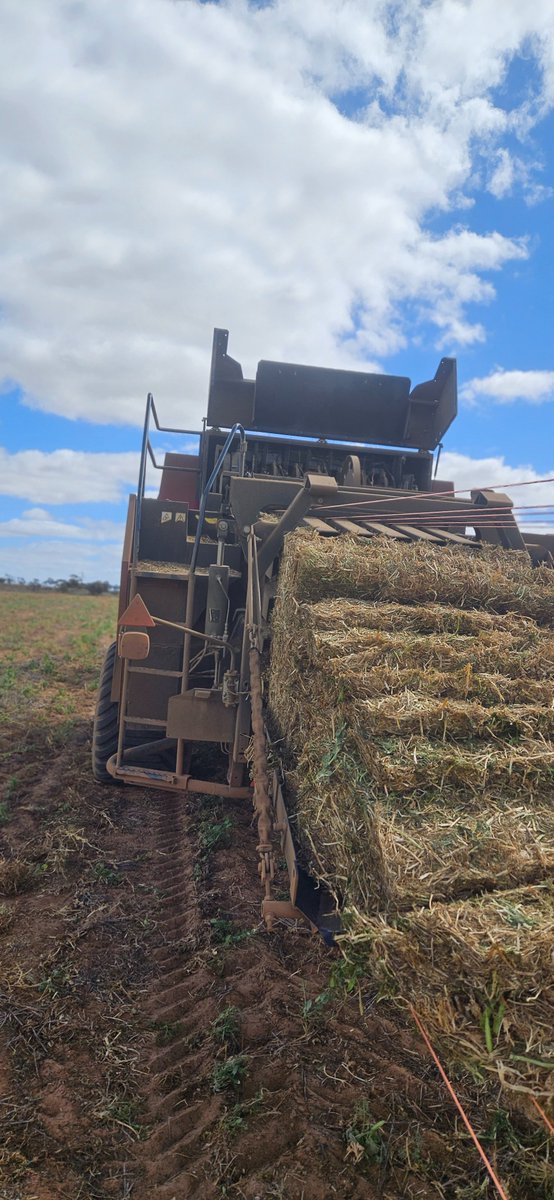 Leon Gill tweet media