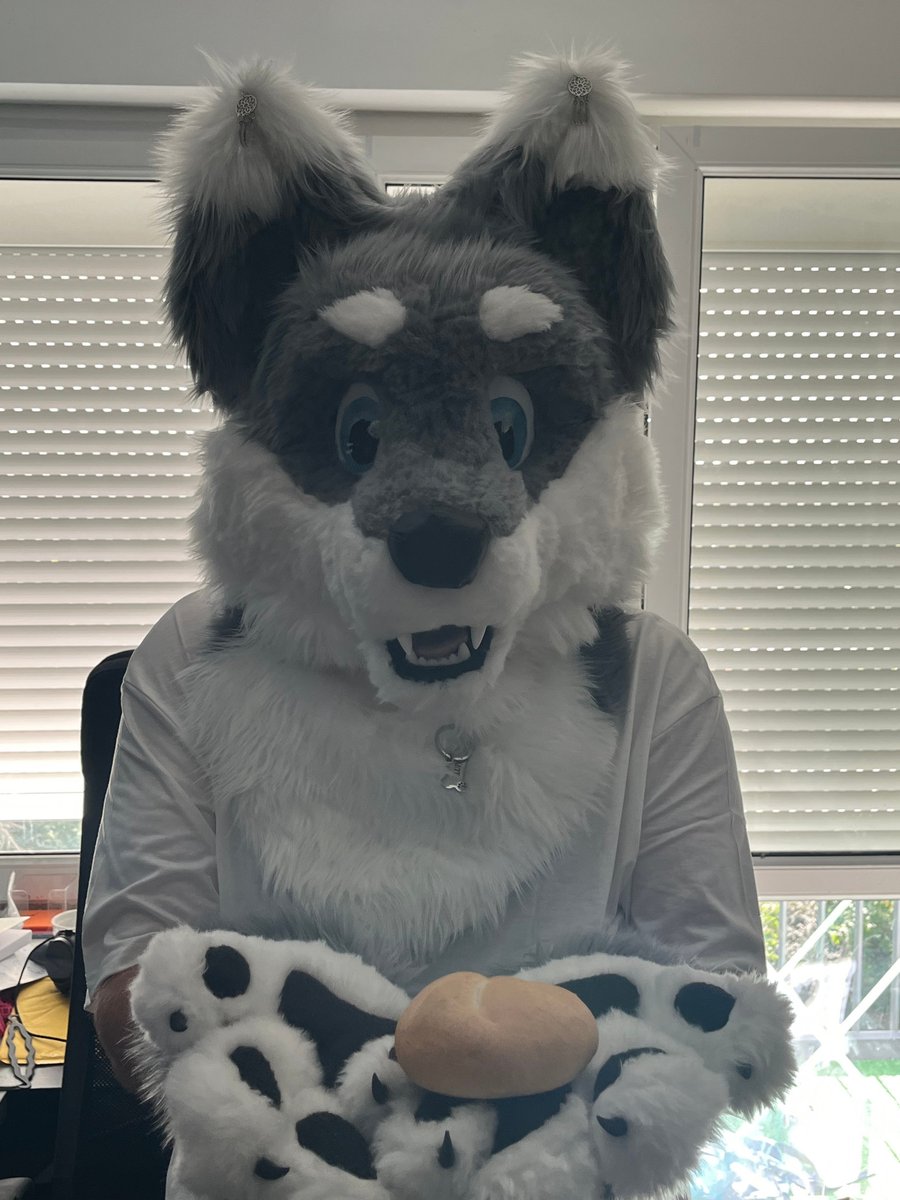 AgentLupusKM's tweet photo. Have a breadroll!
#furry #fursuit #fursuiting https://t.co/Iwxx64swGj