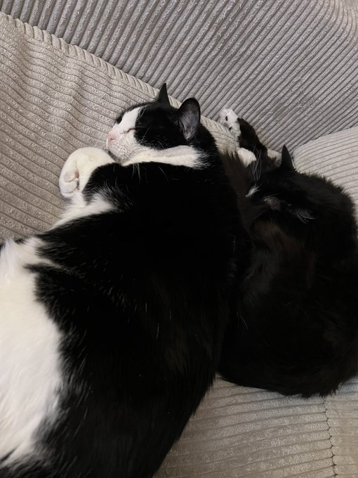 I love them https://t.co/Iof4rl4RZZ<a href="/tag/mvsales"class="tags"><span>#mvsales</span></a>