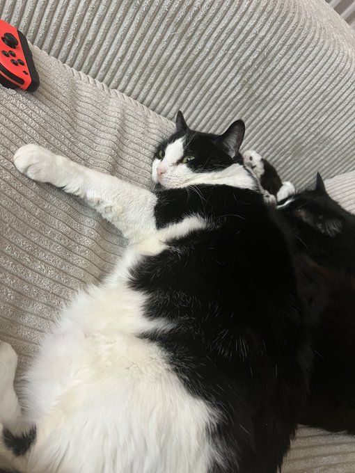 I love them https://t.co/Iof4rl4RZZ<a href="/tag/mvsales"class="tags"><span>#mvsales</span></a>