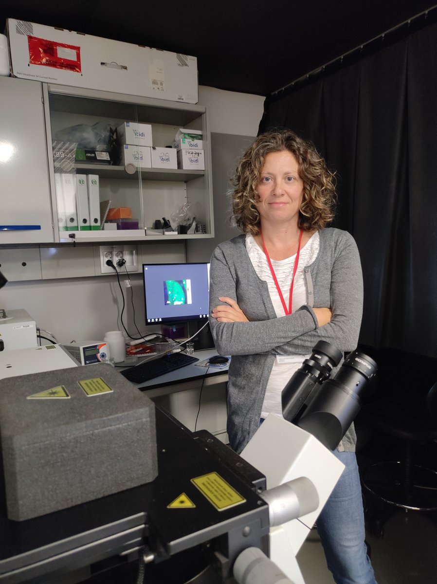 bifi_unizar's tweet photo. 📢 @Nunilo_cc participa en el desarrollo de un microscopio de nueva generación
ℹ️ MÁS INFO https://t.co/D2MY0m3w7I
#Micro4PAP #PressRelease #technology #content #ivBM4PAP #EICpathfinderProgramme #consortium #IIT @unizar @RosaBoles1 @GobAragon @UccUnizar https://t.co/wDrsZqLJvT