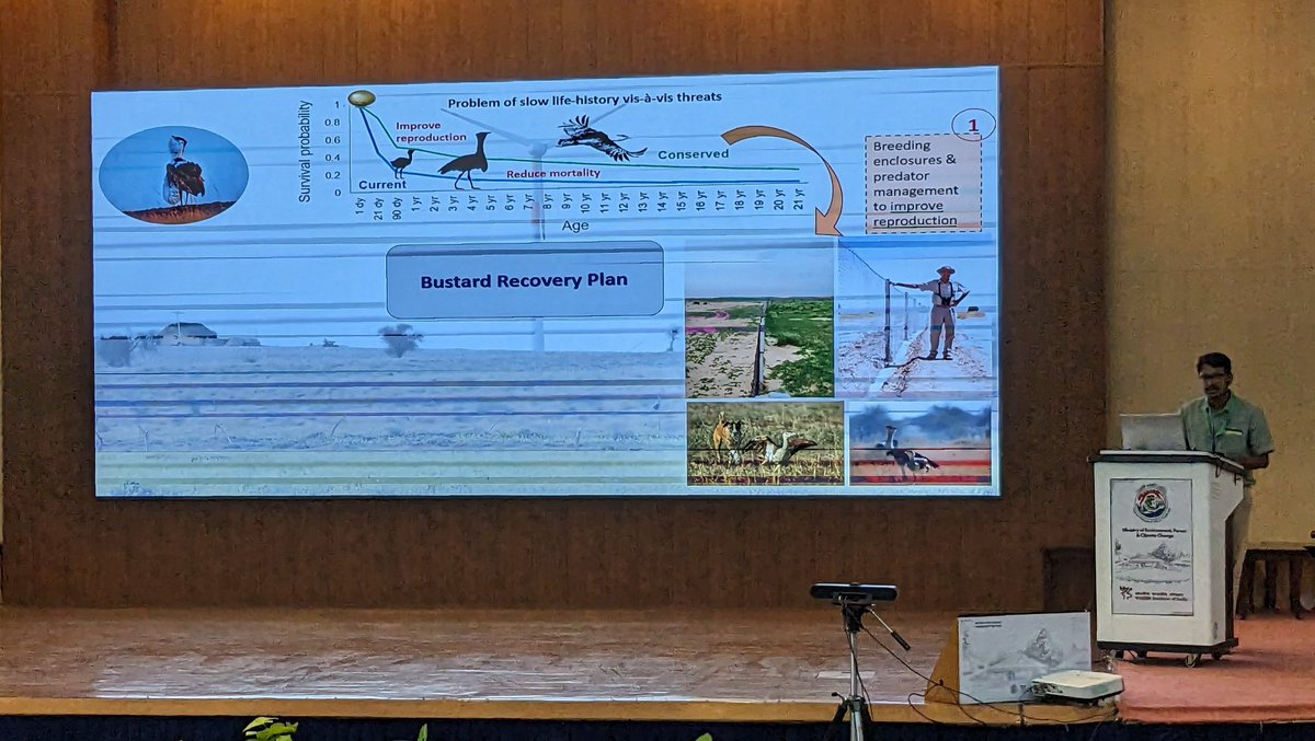 Delving into the strides made in the "Habitat improvement and conservation breeding of Great Indian Bustard" project. Join us as we discuss the "Milestones reached and miles ahead in conserving the Great Indian Bustard". A crucial conversation for a majestic species. #SaveTheGIB