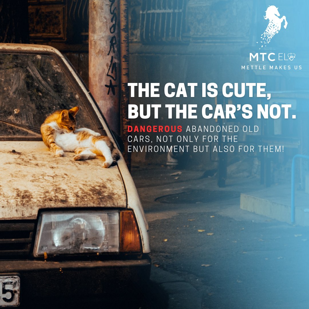 mtcelv's tweet photo. Think twice before making a choice. Choose scrap over abandonment. Call us at 1800-419-9299 for more information.

#MTCELV #MTCGroup #vehiclerecycling #abandonedcars #strayanimals #cat #recylingfacility #recycling https://t.co/UkDWzwrCzi