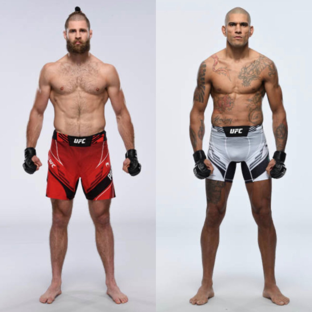MMA Orbit tweet media