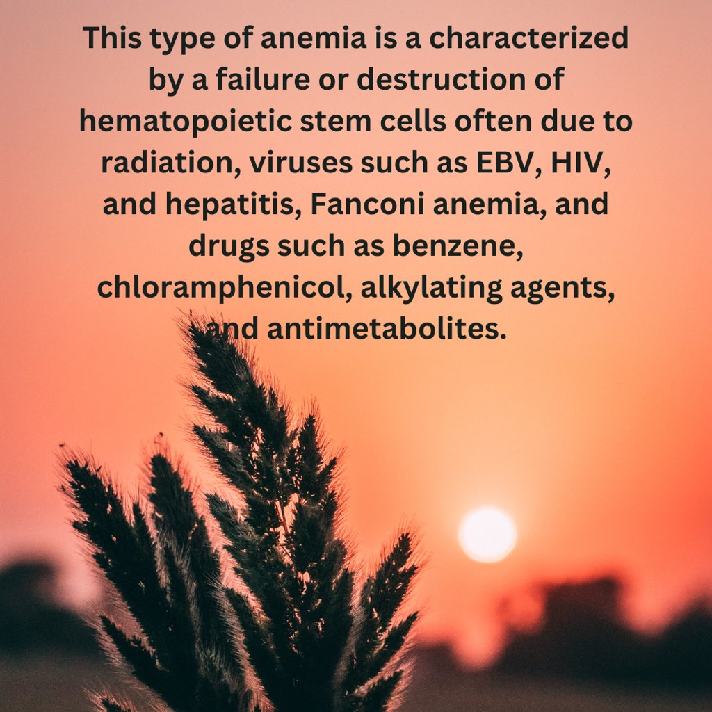 universal_notes's tweet photo. College football is heating up, take a break from studying and answer this question! #step1usmle #meded #comlexlevel1 #medicaleducation #step1 #boardquestions #study #medtwitter #fyp #meded #studygram #boardprep #medexam #questionbank #studymaterial https://t.co/4pyQFADa9p