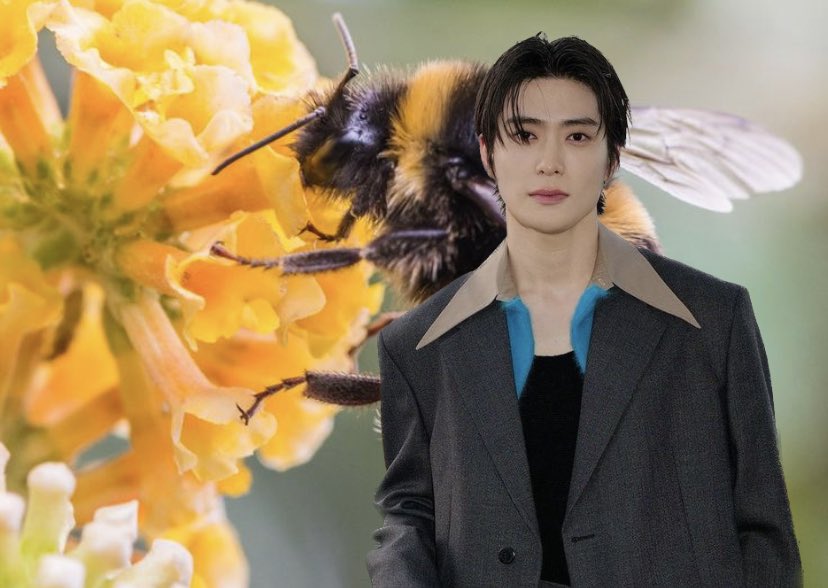 Jaehyun of NCT admits he never realised the buzzing sound made by bees was caused by the rapid flapping of their wings.

“I just thought they were saying buzz” he told reporters.