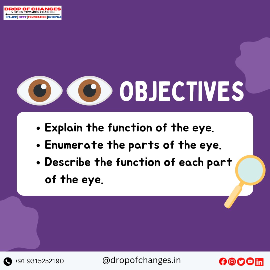 dropofchanges's tweet image. PARTS OF THE EYE  PART-1

For More Information :-
📞- +91 9315252190
🌐 dropofchanges.in
#dropofchanges  #NEET #neetpreparation #neetexam #biology  #eyes #ncertbiology #ncert #maharashtradesha  #stateboard #HumanBiology