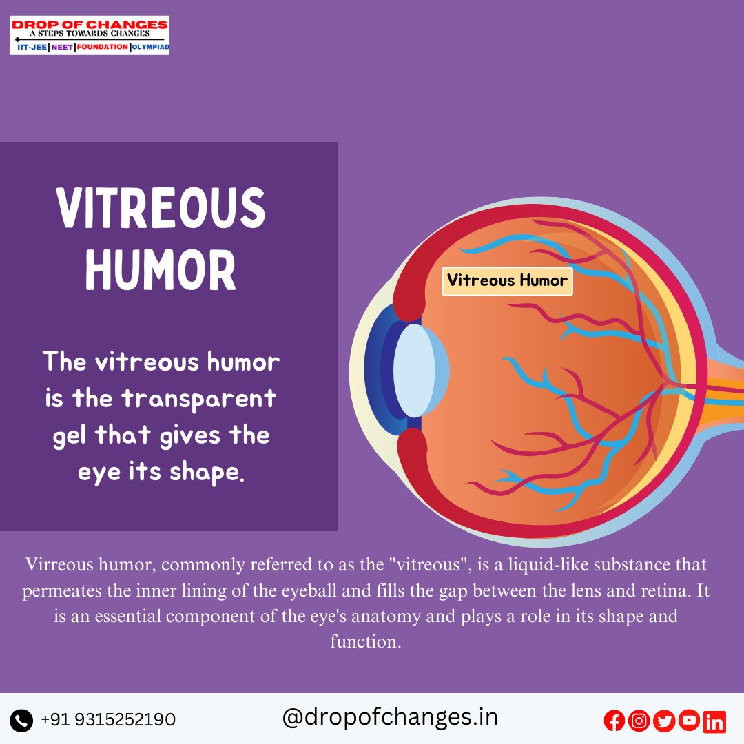 dropofchanges's tweet image. PARTS OF THE EYE  PART-2
 
For More Information :- 
📞- +91 9315252190 
📷dropofchanges.in 

#dropofchanges #NEET #neetpreparation #neetexam #biology #eyes #ncertbiology #ncert #maharashtradesha #stateboard #HumanBiology

📷
📷