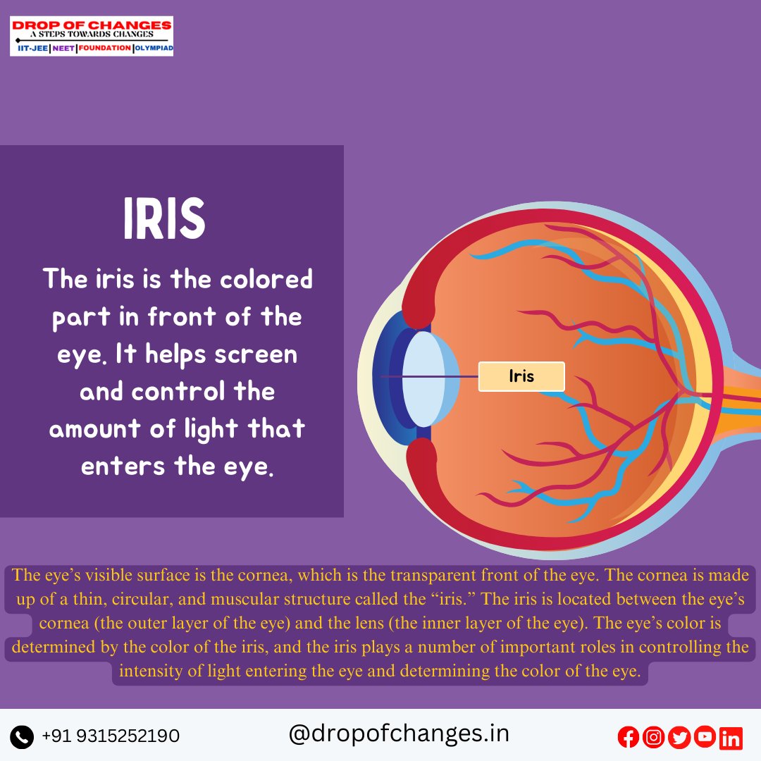 dropofchanges's tweet image. PARTS OF THE EYE  PART-2
 
For More Information :- 
📞- +91 9315252190 
📷dropofchanges.in 

#dropofchanges #NEET #neetpreparation #neetexam #biology #eyes #ncertbiology #ncert #maharashtradesha #stateboard #HumanBiology

📷
📷