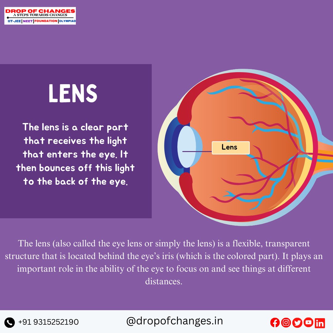 dropofchanges's tweet image. PARTS OF THE EYE  PART-2
 
For More Information :- 
📞- +91 9315252190 
📷dropofchanges.in 

#dropofchanges #NEET #neetpreparation #neetexam #biology #eyes #ncertbiology #ncert #maharashtradesha #stateboard #HumanBiology

📷
📷