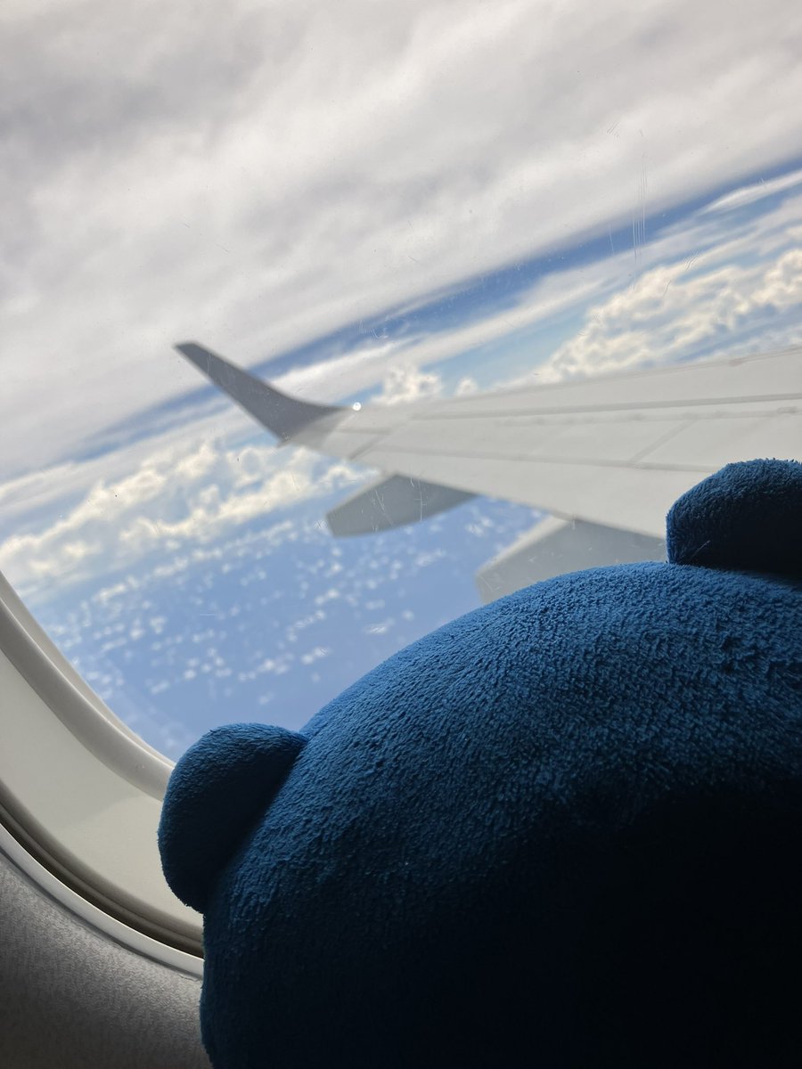 ていくん tweet media