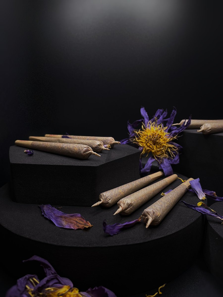 LunarCrowHerbal's tweet photo. Our Organic Blue Lotus Pre-Rolls are in stock on our website! Link is in the bio. 🐦‍⬛✨
#Prerolls #preroll #herbalprerolls #herbpreroll #herbs #bluelotus #bluelotusflower #lotusflower #organicherbs #ShopifyMarketing #shopify #ShopifyPromo #handrolled https://t.co/QQoU10Icm7