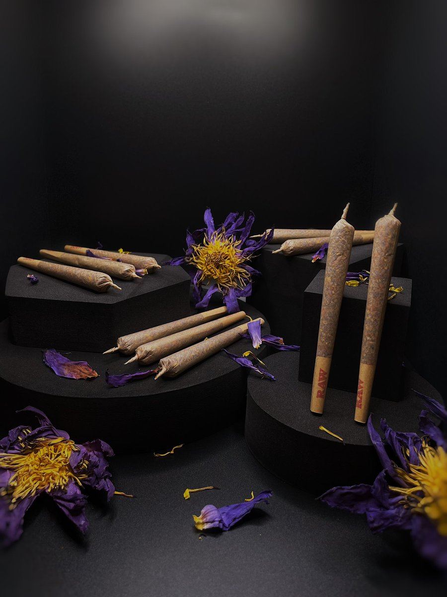 LunarCrowHerbal's tweet photo. Our Organic Blue Lotus Pre-Rolls are in stock on our website! Link is in the bio. 🐦‍⬛✨
#Prerolls #preroll #herbalprerolls #herbpreroll #herbs #bluelotus #bluelotusflower #lotusflower #organicherbs #ShopifyMarketing #shopify #ShopifyPromo #handrolled https://t.co/QQoU10Icm7