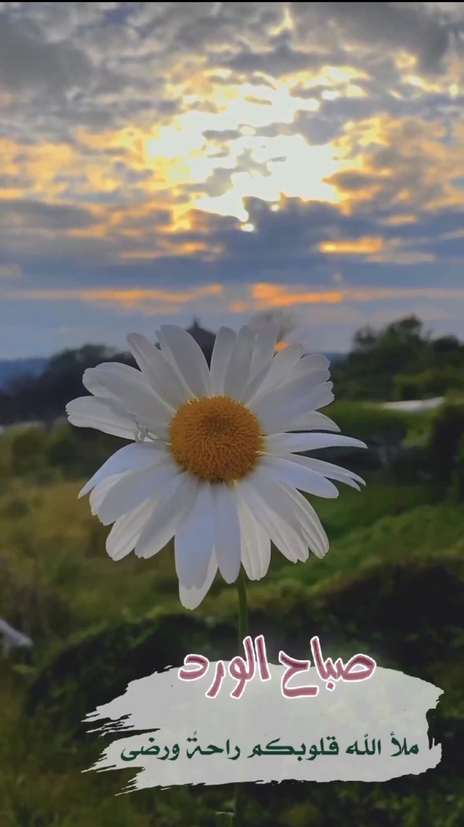 -
يتجدد الشروق ☀️🕊️,  وتتعاقب  الصباحات ،🌤️🍃

    وتظل إشراقة الشمس ☀️🕊️

 أجمل بداية ليوم مميز .

 اللهم يوم مليء بالخيرات 

#صباح_الخير 
 #صباح_الورد
 #صباح_الورد