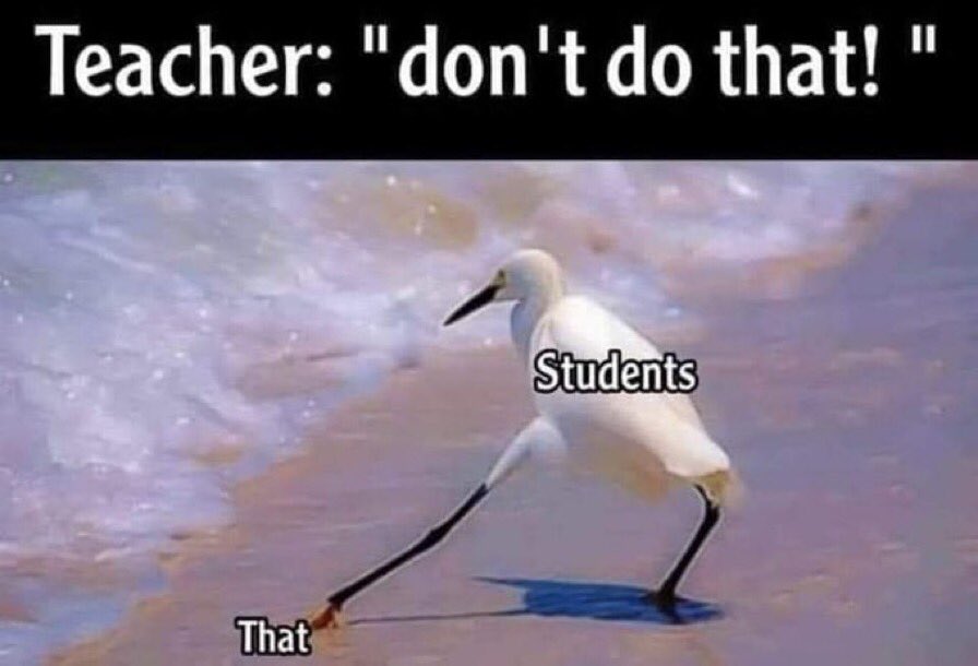 Hey, gotta bring in the levity to some truth and remember that teaching our students expectations- is just as important as the academic learning. Pack your patience. <a href="/I_T_Holleman/">Holleman Elementary</a> <a href="/NDonaldsonEdu/">Nicole Donaldson</a> <a href="/WallerISD/">Waller ISD</a>