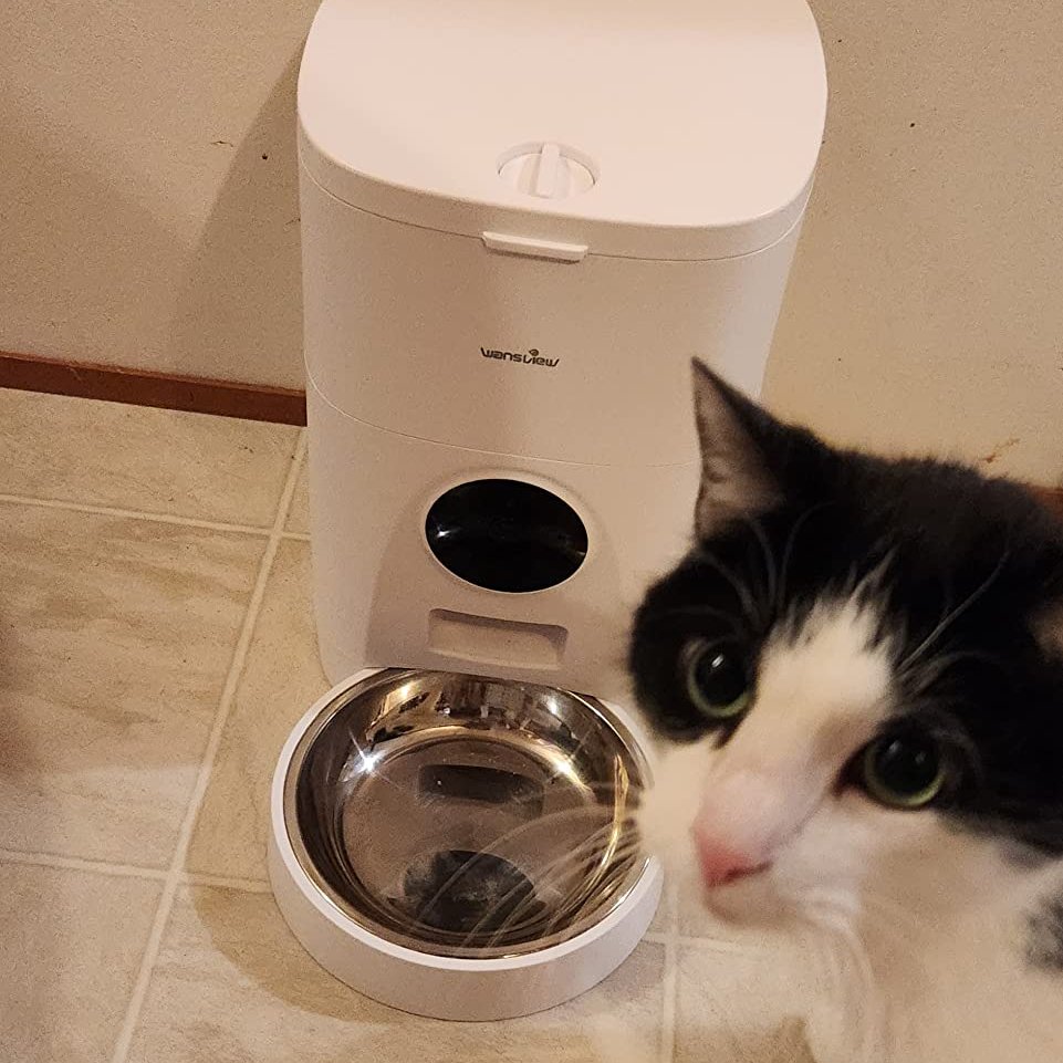 Wansviewoffical's tweet image. I have had this automatic feeder for over a week now and this thing is amazing! To set it is was super simple and quick. 
This is a great automatic feeder and I recommend it to all my colleagues.
#wansviewp1 #automaticfeeder #cats #feedingtime #camerafeature #USA #amazonfinds