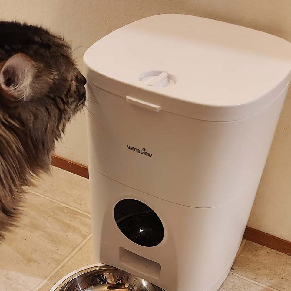 Wansviewoffical's tweet image. I have had this automatic feeder for over a week now and this thing is amazing! To set it is was super simple and quick. 
This is a great automatic feeder and I recommend it to all my colleagues.
#wansviewp1 #automaticfeeder #cats #feedingtime #camerafeature #USA #amazonfinds