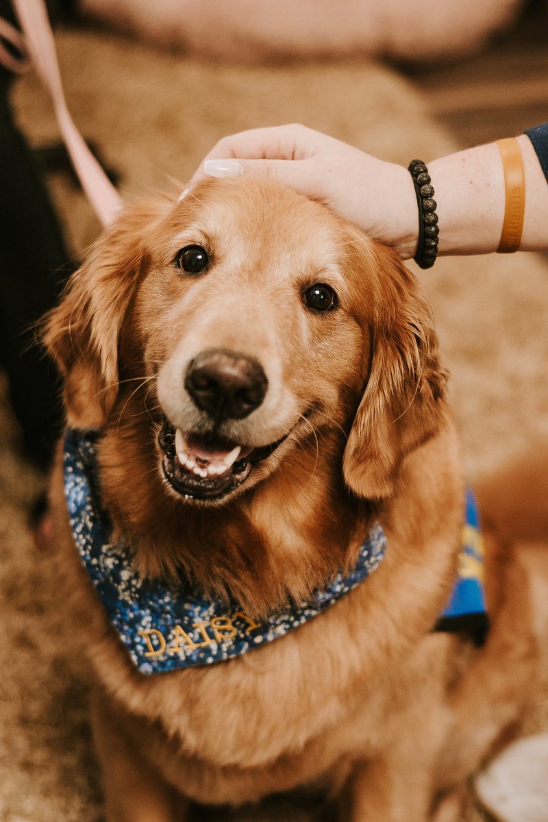 Wear pink on Thursday with uniform bottoms to celebrate Daisy’s 5th birthday! 💕🐶