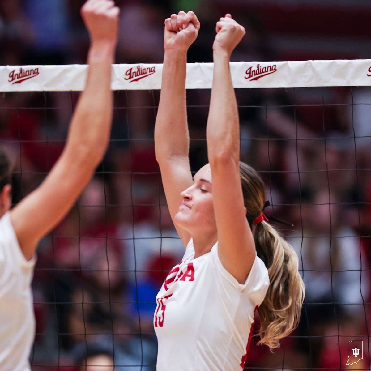 Indiana Volleyball tweet media