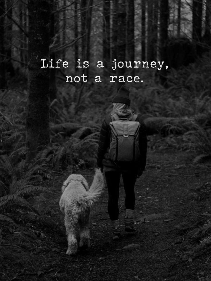 Art of Thinking (@art0fthinking) on Twitter photo 