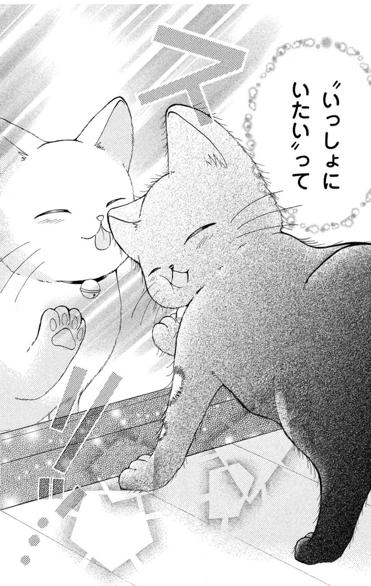 【お知らせ】マンガアプリPalcyにて、「ゆずのどうぶつカルテ～小さな獣医～こちらわんニャンどうぶつ病院」の1巻分が本日9/21まで無料チケットで読めます!
中学生のゆずが、獣医の叔父さんのもとで様々な動物に出会うお話です🐶🐱🐾
 #パルシィ  https://t.co/jteLls4x4e 