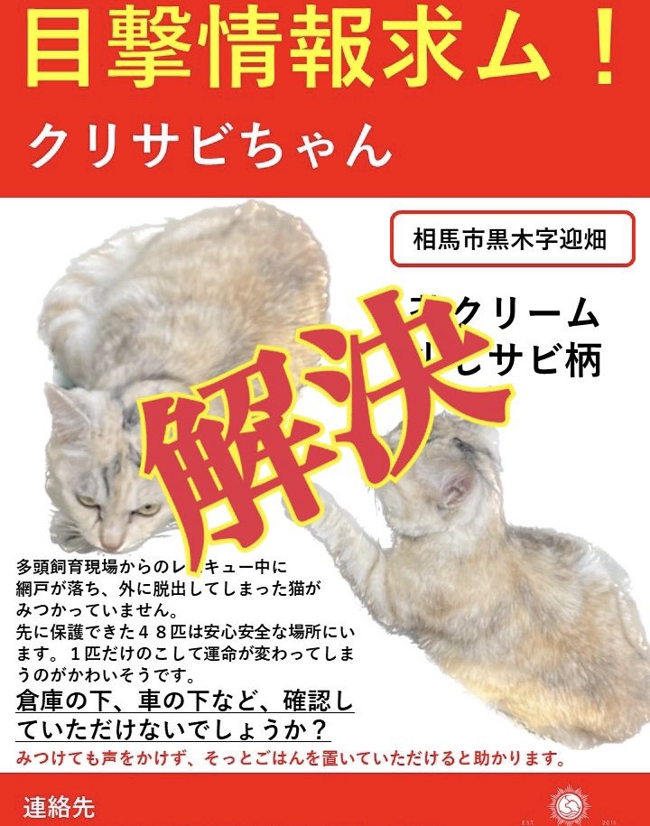 NPO法人動物愛護団体LYSTA／里親募集型保護猫ふれあいサロンOhana tweet media