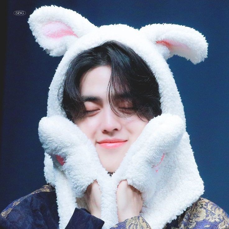 cheolkittty's tweet image. #세븐틴 #scoups @pledis_17