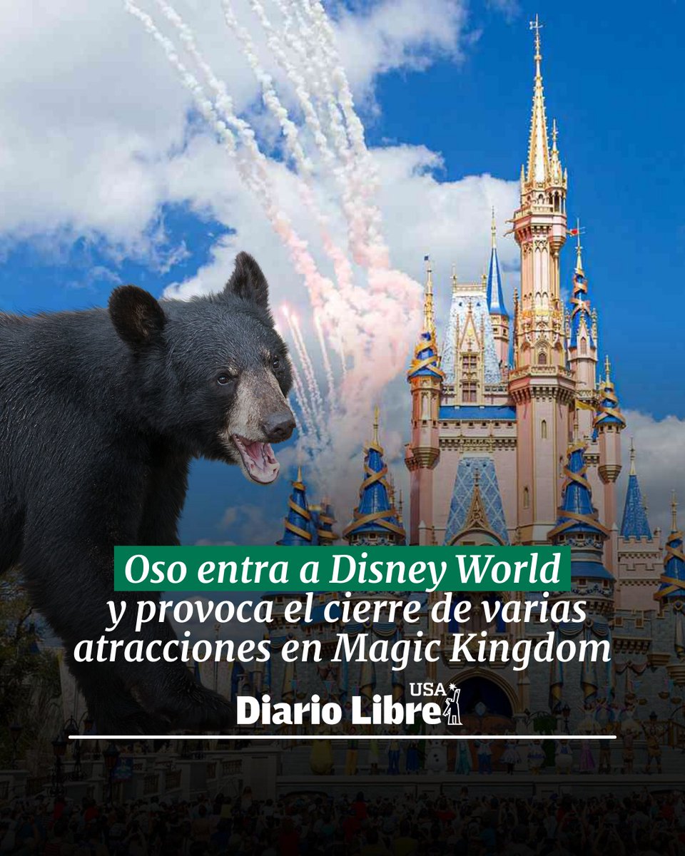 DiarioLibre's tweet photo. 🇺🇸|#DiarioLibreUSA | Oso entra a Disney World y provoca el cierre de varias atracciones en Magic Kingdom
🔗https://t.co/P0rOK5aFUc
#DiarioLibre #Oso #Disneyworld #MagicKindom #Cierre https://t.co/TCxp2t2dqO
