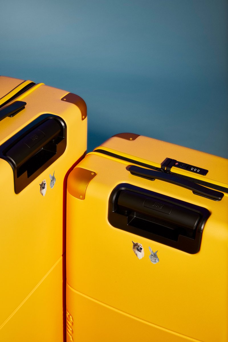 Athan Didaskalou tweet media