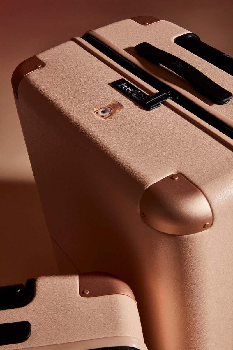 Athan Didaskalou tweet media