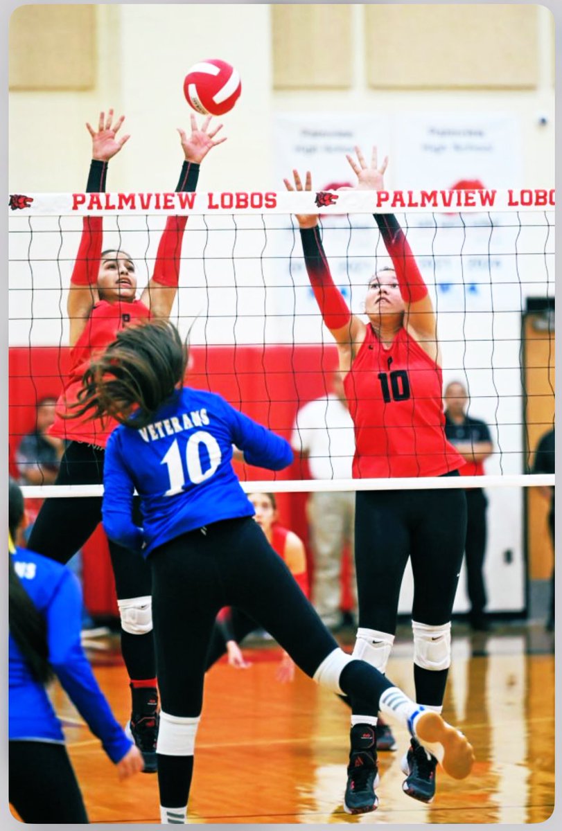 LadyLobosVolleyball❤️&🏐🙏🏼🐺🙌🏻 tweet media