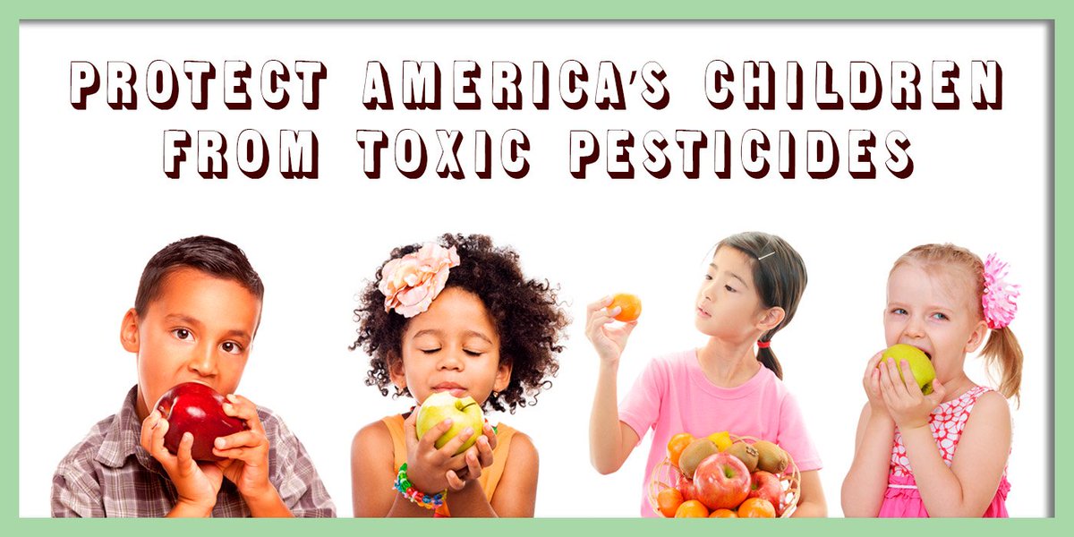 GMOFreeUSA's tweet photo. The most significant pesticide protection legislation in a quarter century-- Protect America’s Children from Toxic Pesticides Act (PACTPA) would ban some of the most problematic pesticides! SIGN to urge your Senators and Representatives to pass #PACTPA: https://t.co/7ckAFo3yur https://t.co/bmF4yBtyW4