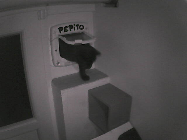 Pépito is back home (05:49:35)