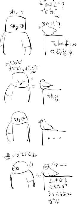 インコ、拗ねる 