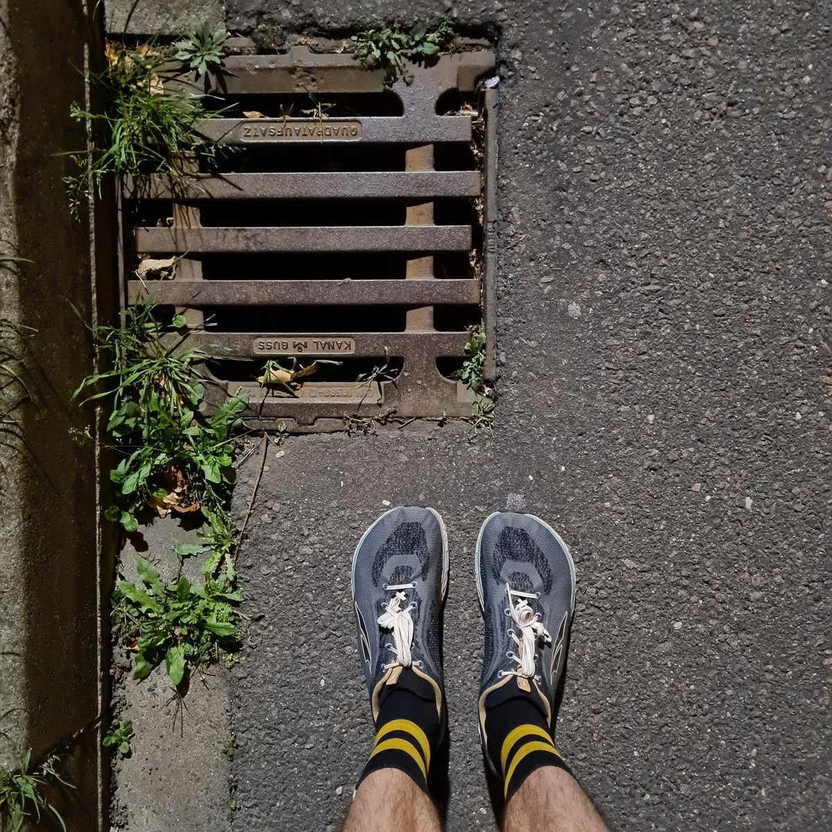 schnelleBeine's tweet photo. #earlybirdrun
Mal sehen wie lange noch kurz/kurz möglich ist. https://t.co/Rk9xHmpOnW