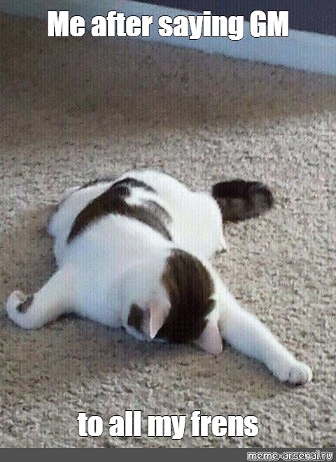 giannichedda tweet media