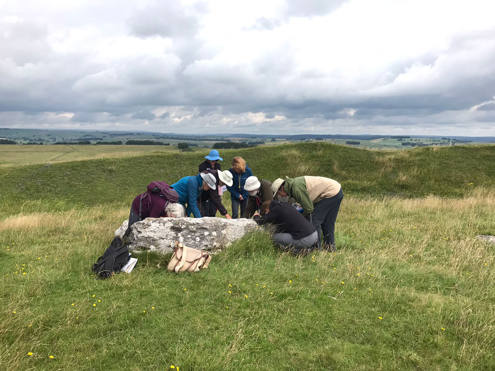 peakdistrict's tweet photo. Our cultural heritage volunteers have been training to identifying wildflowers &amp; lichen at scheduled monuments #ArborLow &amp; #StantonMoor. 🏛

This helps build a greater understanding of how heritage assets &amp; historic landscapes are also habitats, supporting a range of species. 🌱 https://t.co/H03COUQ8pn
