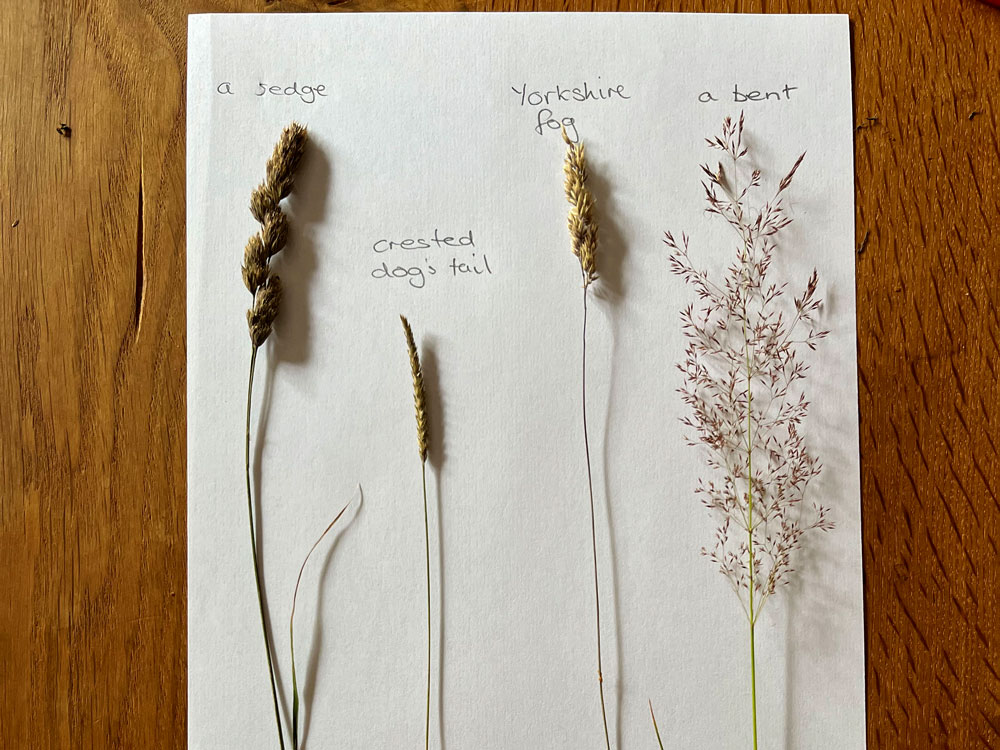 peakdistrict's tweet photo. Our cultural heritage volunteers have been training to identifying wildflowers &amp; lichen at scheduled monuments #ArborLow &amp; #StantonMoor. 🏛

This helps build a greater understanding of how heritage assets &amp; historic landscapes are also habitats, supporting a range of species. 🌱 https://t.co/H03COUQ8pn