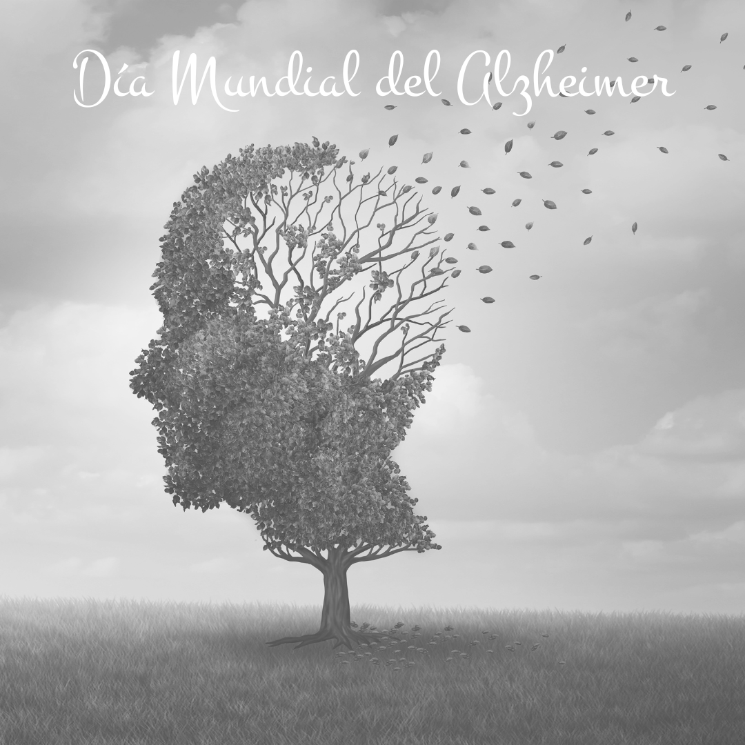 bernabeufarma's tweet photo. Hoy se conmemora el #DíaMundialDelAlzheimer para sensibilizar y comprender la importancia de cuidar de nuestra salud mental.
Los servicios y productos de #farmabernabeu, están para brindar apoyo a nivel sanitario y de cuidados, tanto para los afectados como para sus cuidadores. https://t.co/h33lZddKyb