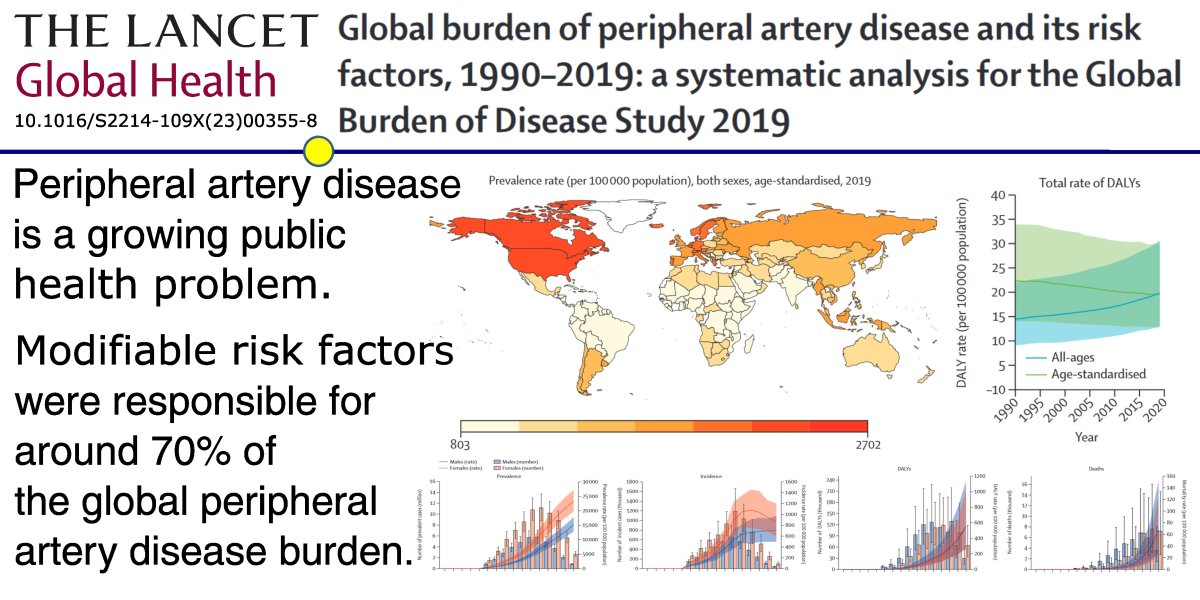 113 million persons globally have peripheral artery disease, and almost 70% of it is preventable by risk factors correction. Read the latest evidence <a href="/TheLancet/">The Lancet</a> Global Health thelancet.com/journals/langl… scientific-tools.org/news/global-bu…
#GBD #NCDs #PublicHealth