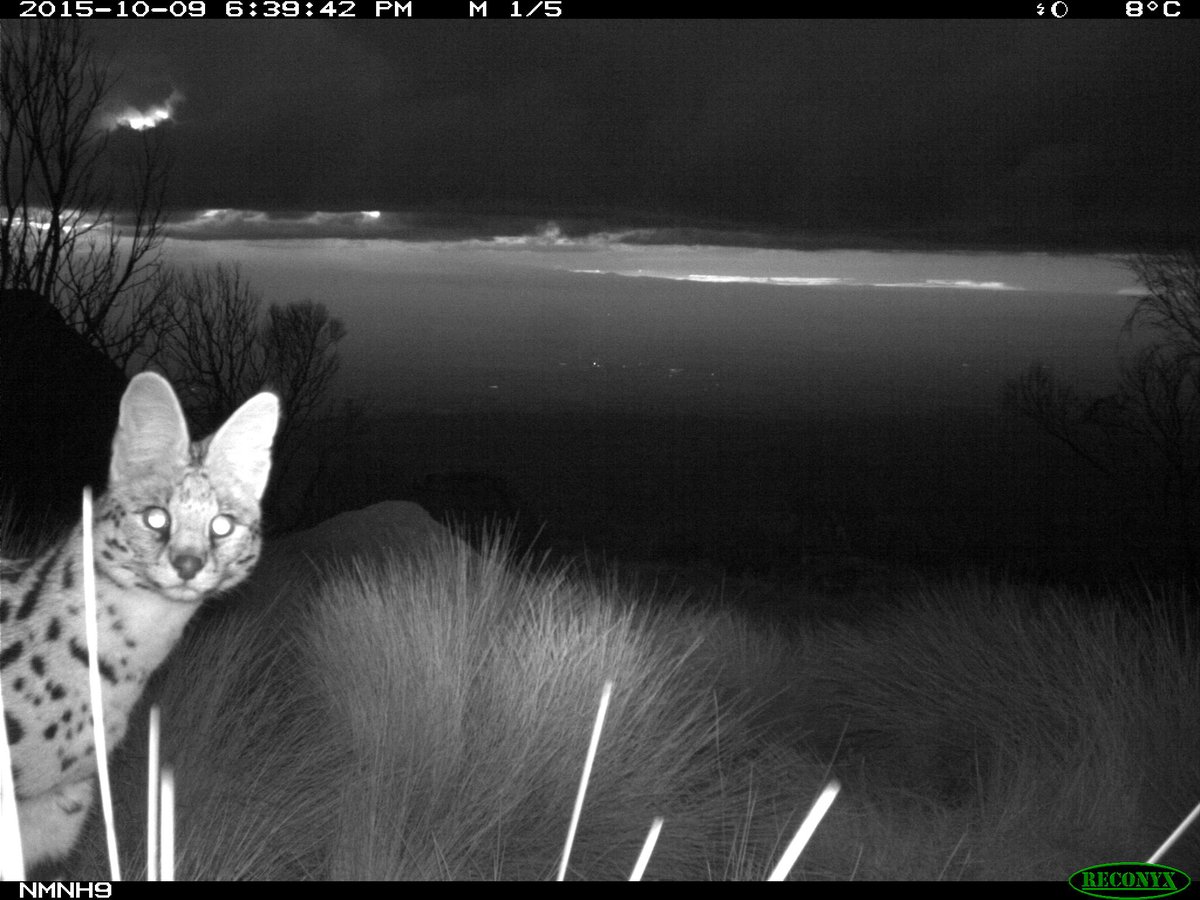 bettertrailcams's tweet photo. https://t.co/IPX7SJfKFJ