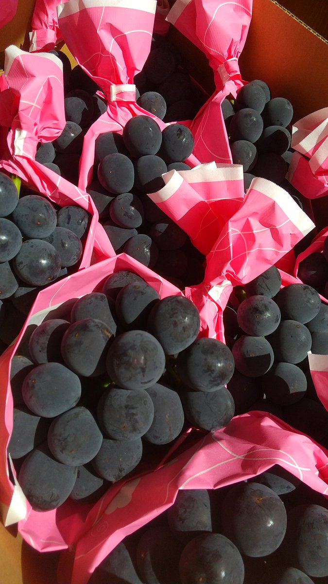 たむさん@TAMTAMブリューイング tweet media