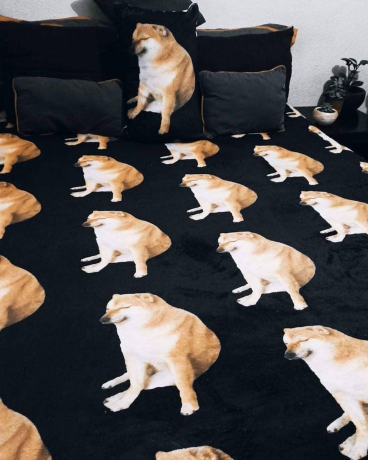 On a scale from 'Meh' to 'Wowza,' how would you rate this bed set? 🛏️🐶😄