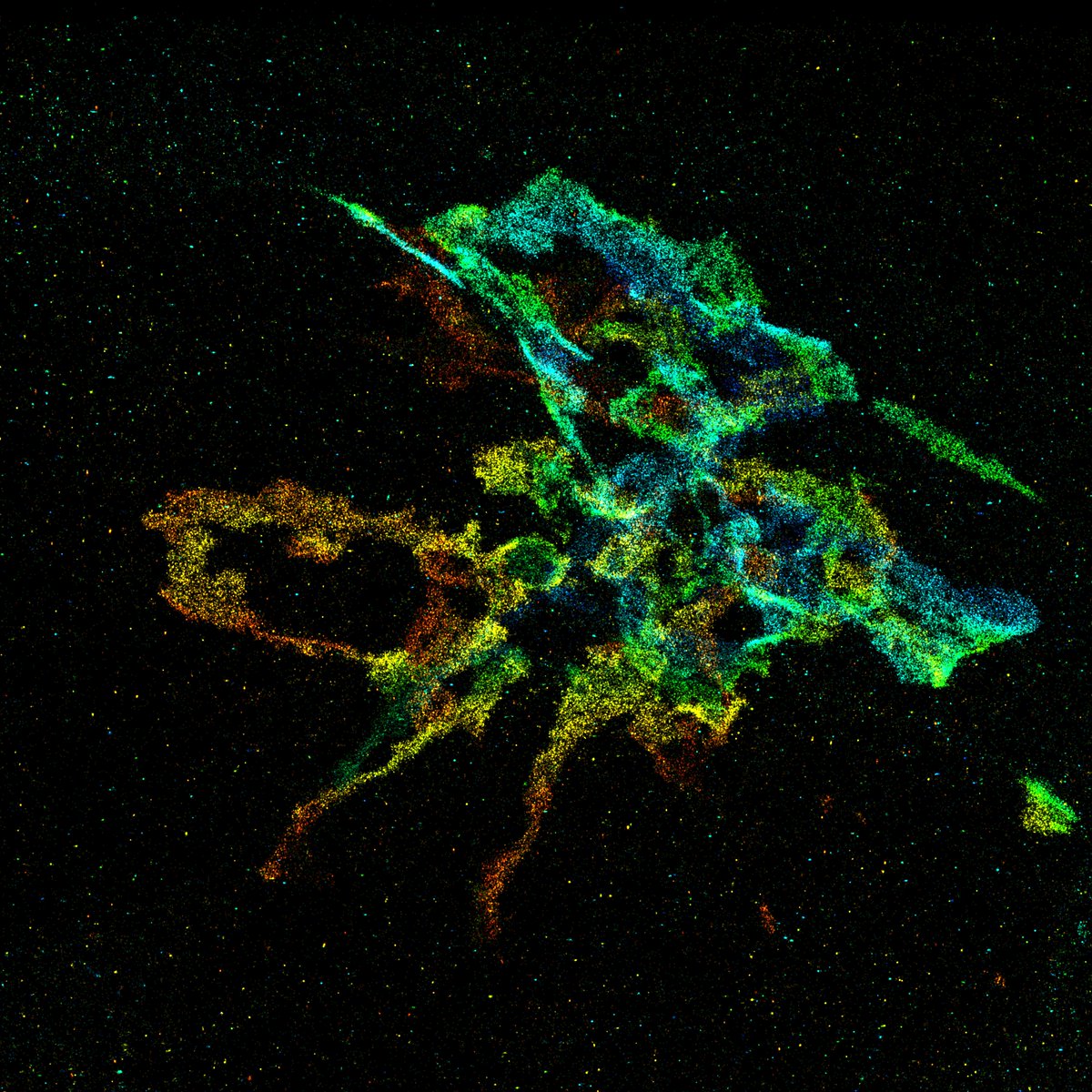 The Golgi Apparatus imaged with our 4Pi-SMS microscope!