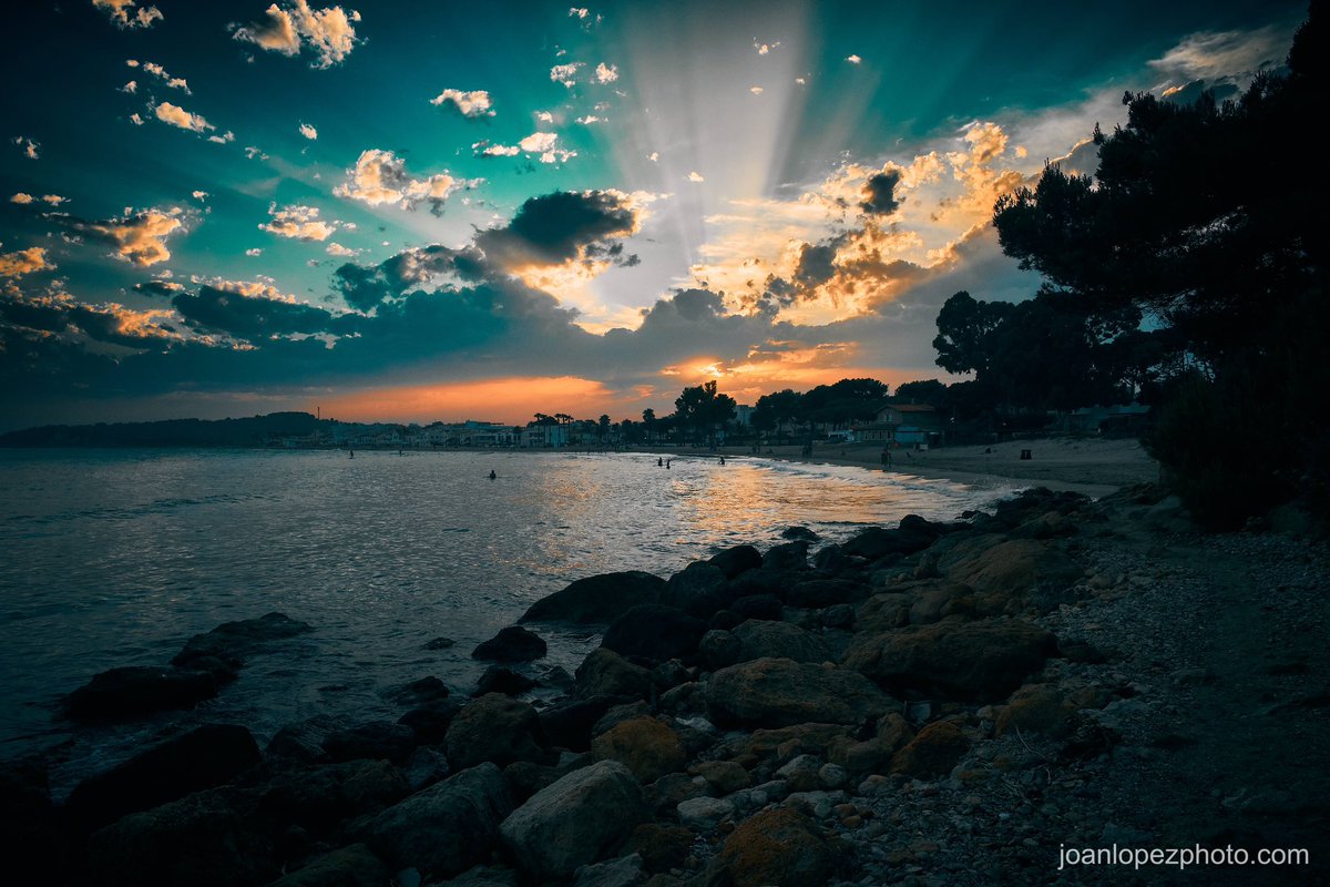 Joan López i Casanoves tweet media