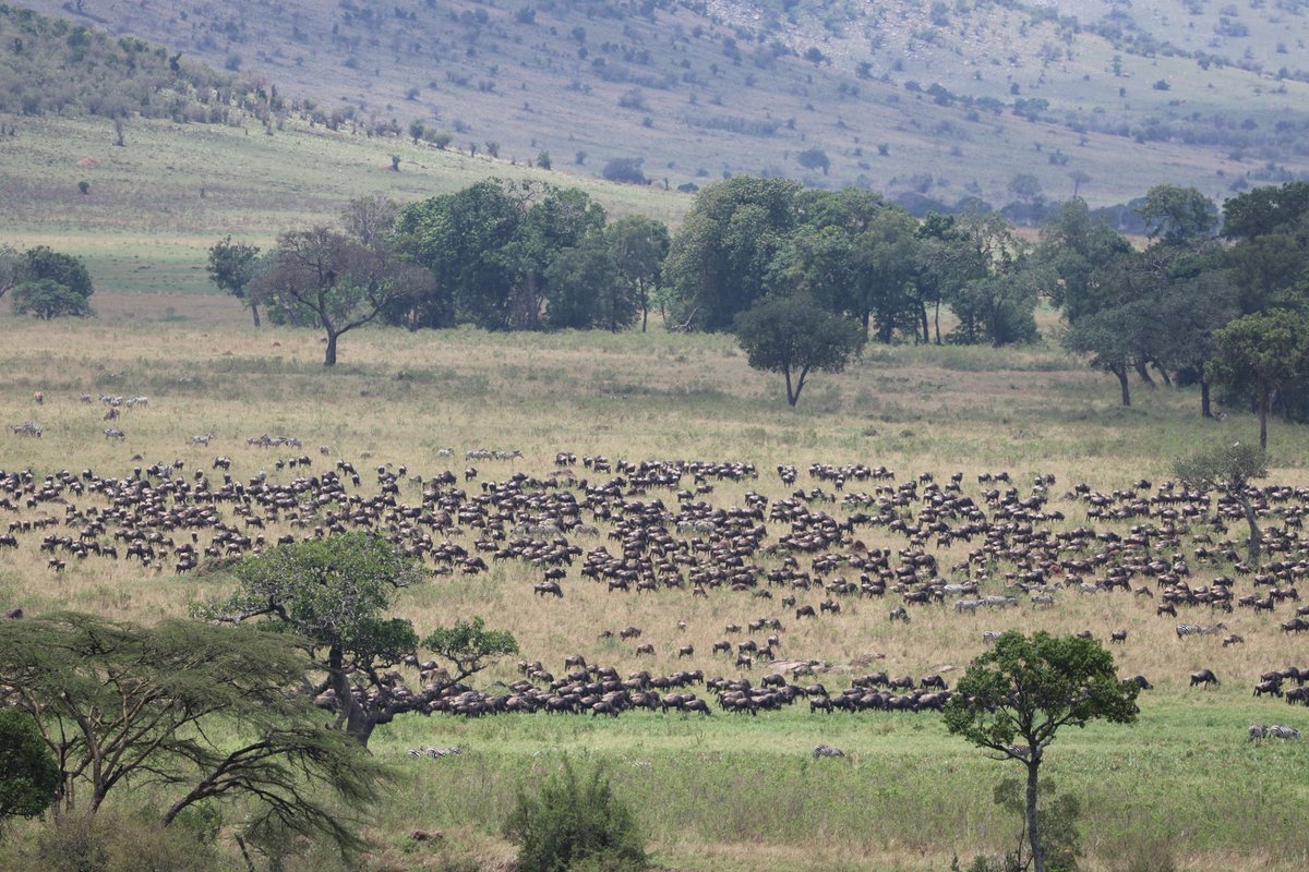 PointsDojo - Miles, Points & Cards tweet media