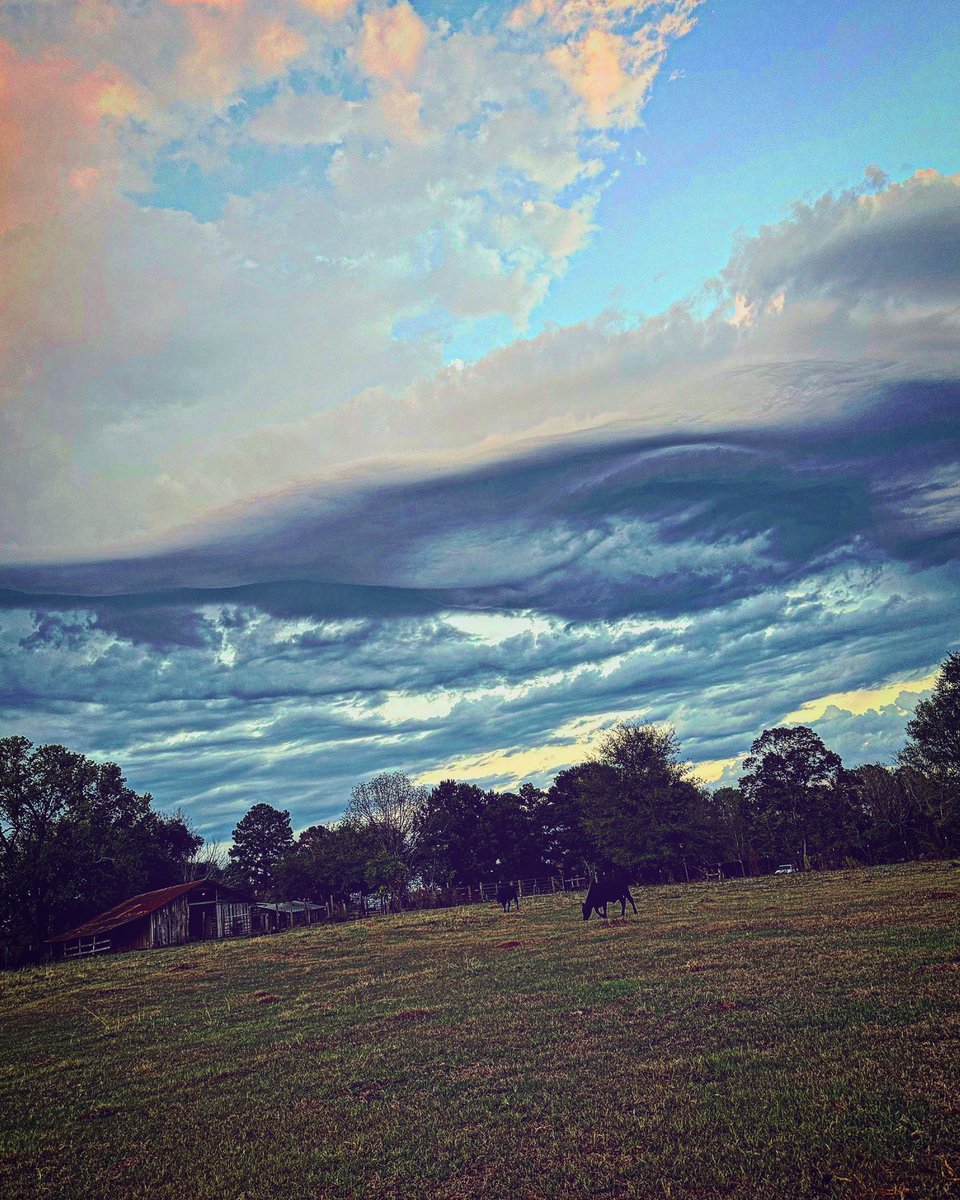 Steel Waylon (@waylon_salter) on Twitter photo 