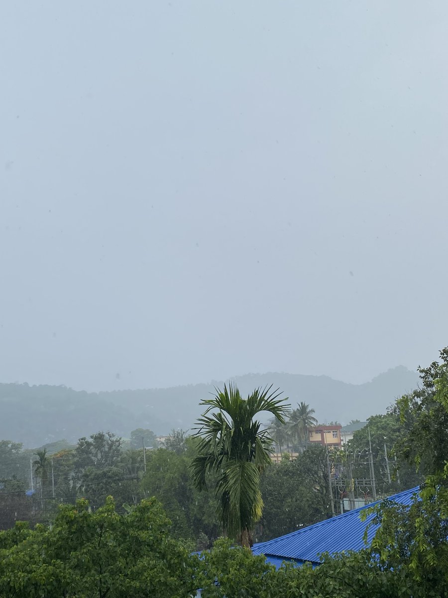 MedhiGaurav's tweet image. 🌿 Assam&apos;s Nature is Rich, and So Are We! Let&apos;s support each other like the lush forests of Assam 🌳🤗. Together, we can create a wonderful ecosystem right here on @X. 💚 #AssamSupport #UnityInNature #AssamPride #CommunityLove 🌏🌸