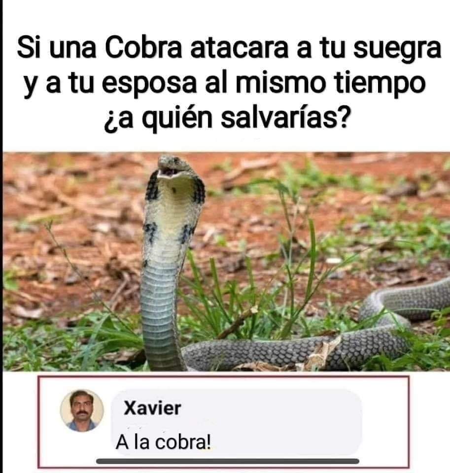 🤣