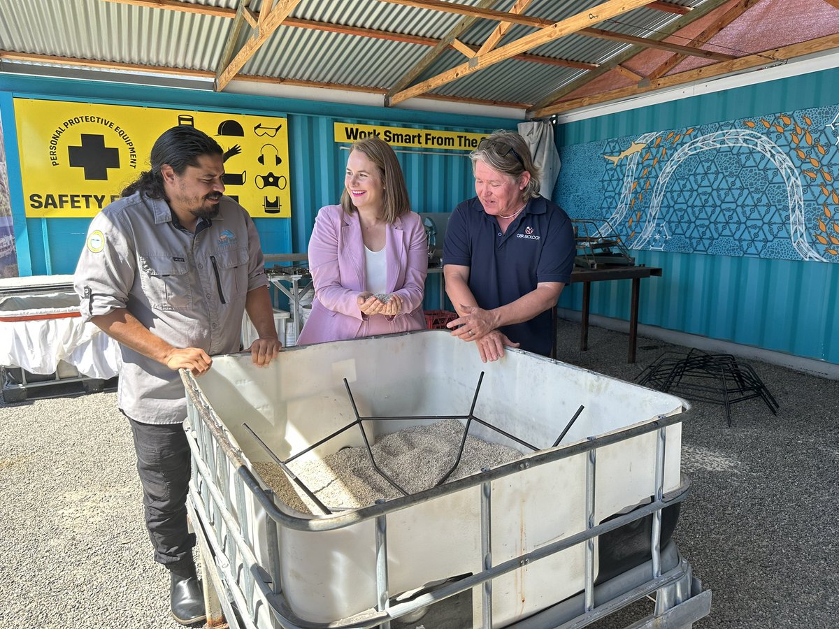For the very first time MARRS reef stars will be built in the Far North, at the region’s new manufacturing hub. 

The facility will create local jobs while helping to restore coral on the Great Barrier Reef 🪸🐠

More details tonight 5.30pm <a href="/WINNews_CNS/">WIN News Cairns</a>